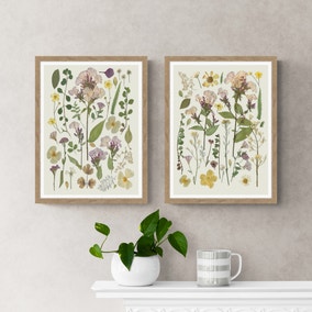 Set of 2 Pressed Flowers Framed Prints