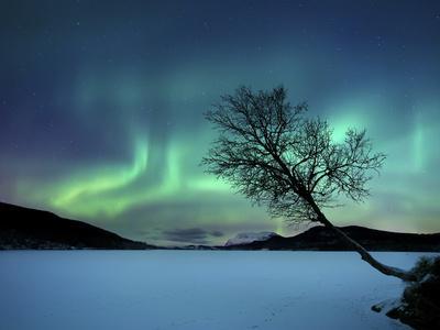 Aurora Borealis over Sandvannet Lake in Troms County, Norway - Photographic Print, 16x12 Aurora Borealis over Sandvannet Lake in Troms County, Norway - Photographic Print, 16x12