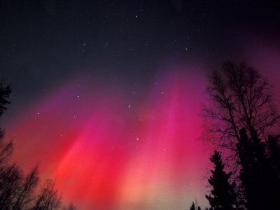 Curtains of Northern Lights above Fairbanks, Alaska, USA - Photographic Print, 12x9