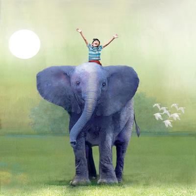 Elephant Ride - Wall Art Print, 16x16