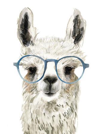 Hip Llama II - Wall Art Print, 12x16 Hip Llama II - Wall Art Print, 12x16