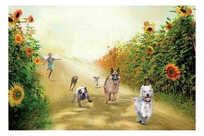 Leading The Pack - Wall Art Print, 18x12 Leading The Pack - Wall Art Print, 18x12