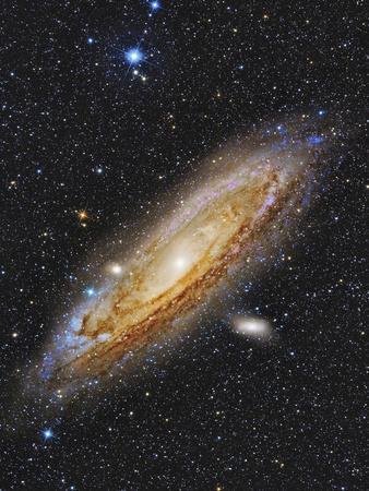 Messier 31, the Andromeda Galaxy - Photographic Print, 12x16 Messier 31, the Andromeda Galaxy - Photographic Print, 12x16