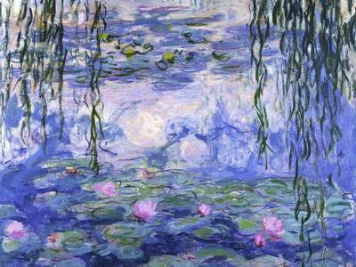 Water Lilies (Nympheas), c.1916 - Wall Art Print, 16x12 Water Lilies (Nympheas), c.1916 - Wall Art Print, 16x12